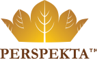 логотип perspekta